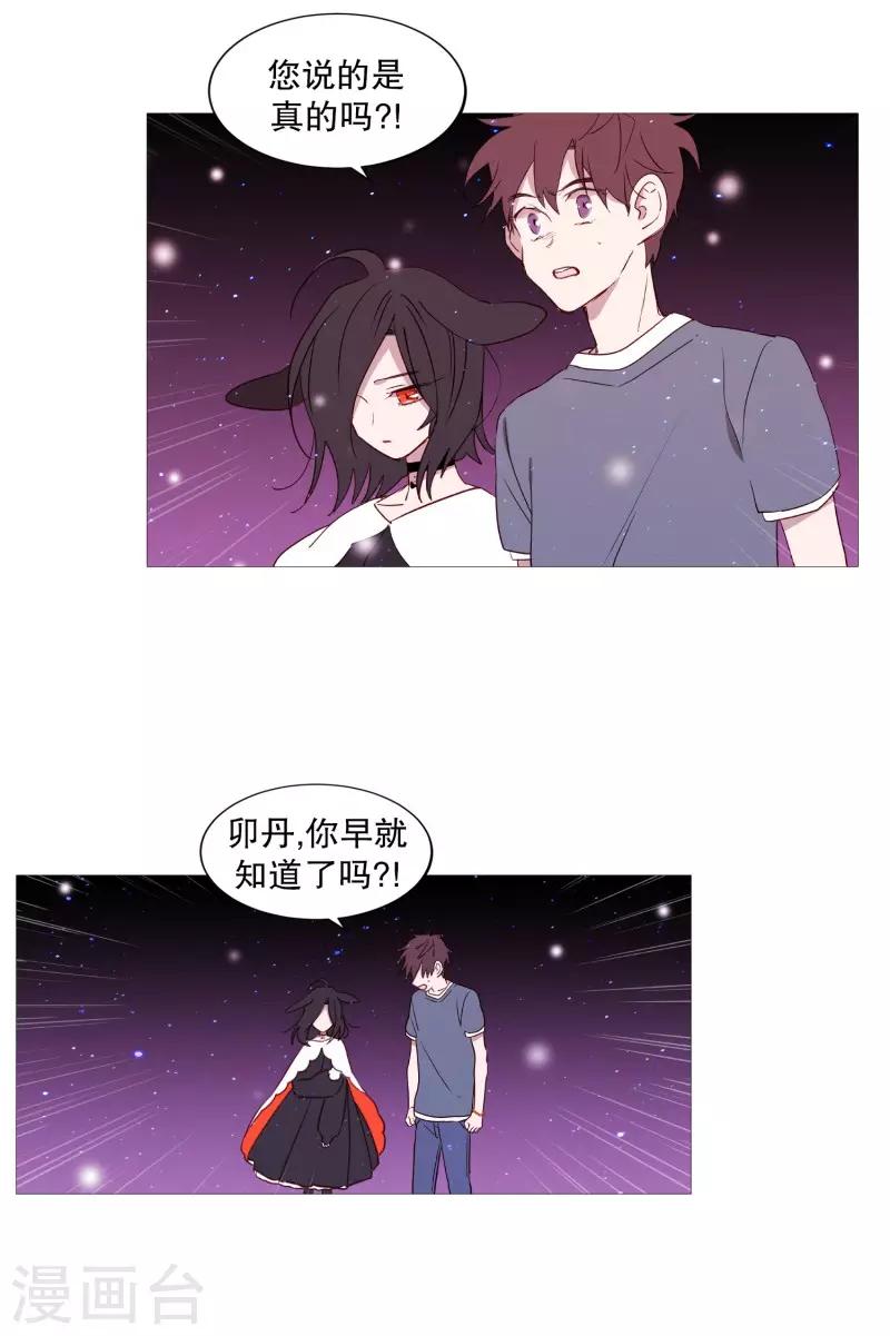 《动物灵魂管理局》第78话 诅咒 第17页