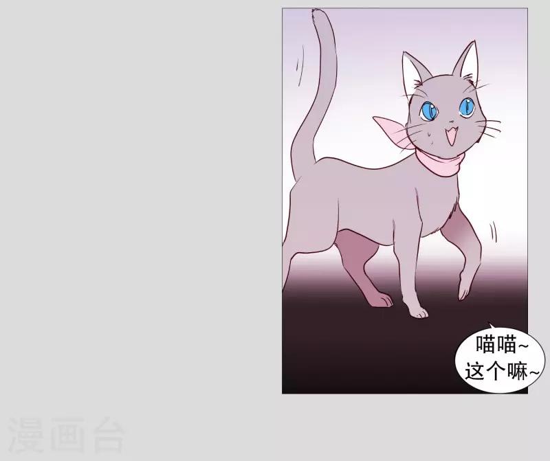 《动物灵魂管理局》第83话 无 第17页