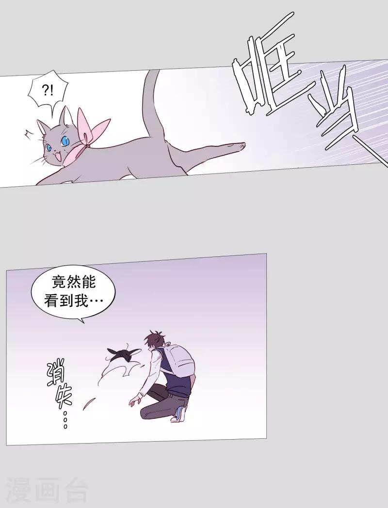 《动物灵魂管理局》第83话 无 第19页