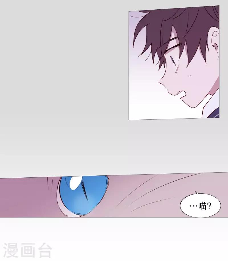 《动物灵魂管理局》第83话 无 第20页