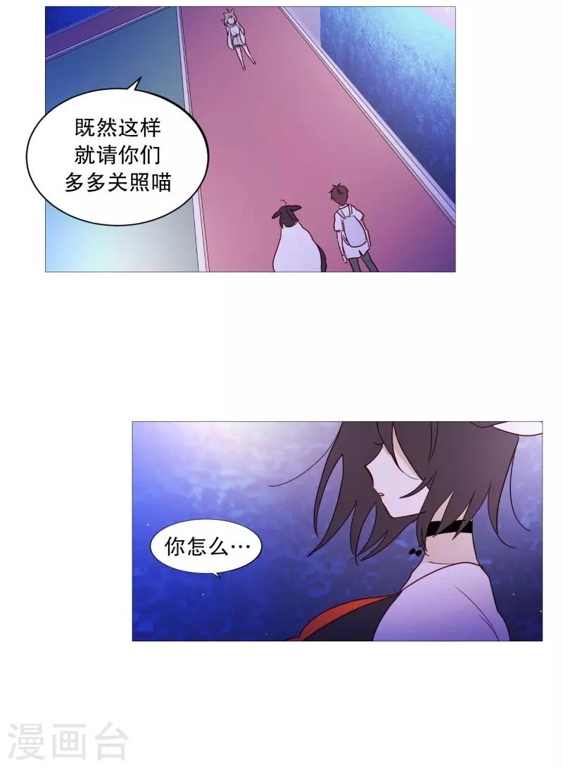 《动物灵魂管理局》第88话 为了杀人 第1页