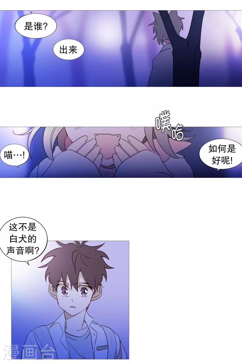 《动物灵魂管理局》第87话 喵 第12页