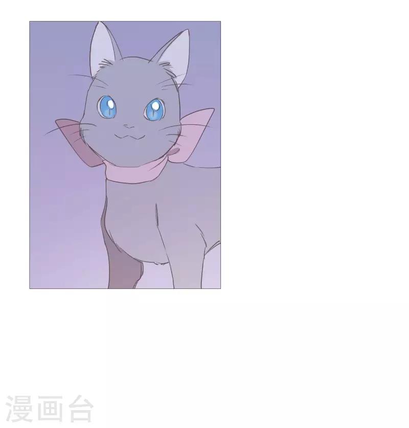 《动物灵魂管理局》第87话 喵 第19页