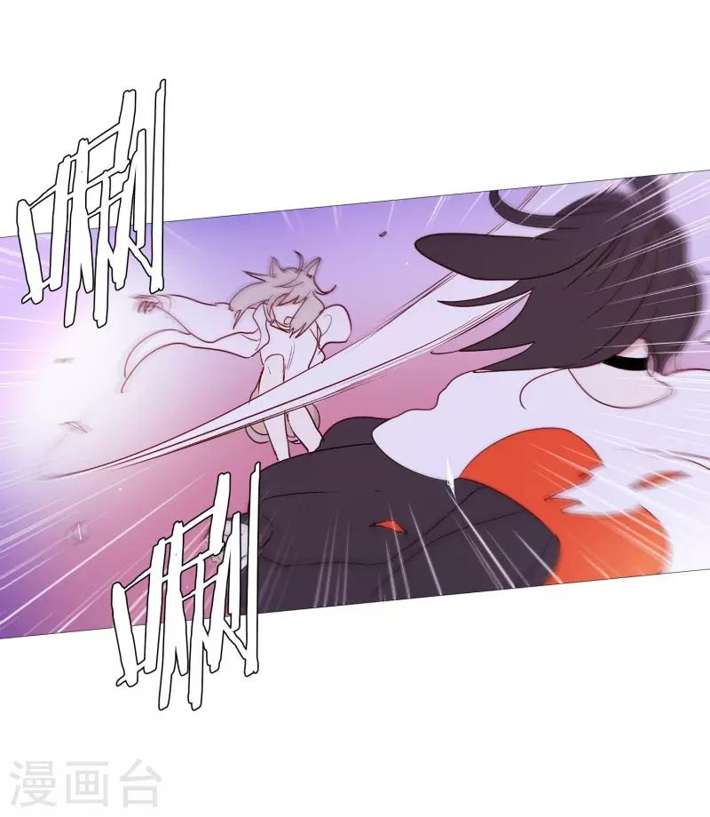 《动物灵魂管理局》第90话 猫兔大战 第13页