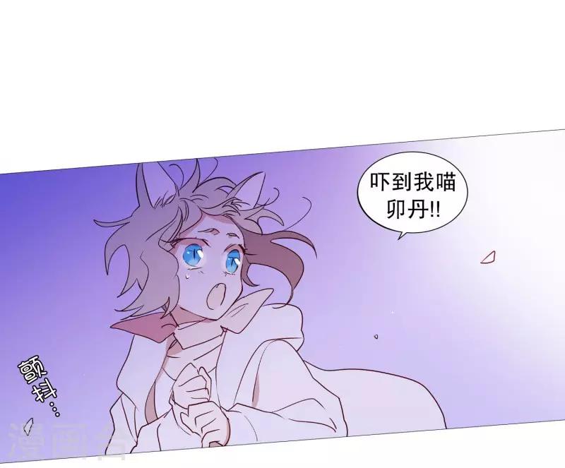 《动物灵魂管理局》第90话 猫兔大战 第1页