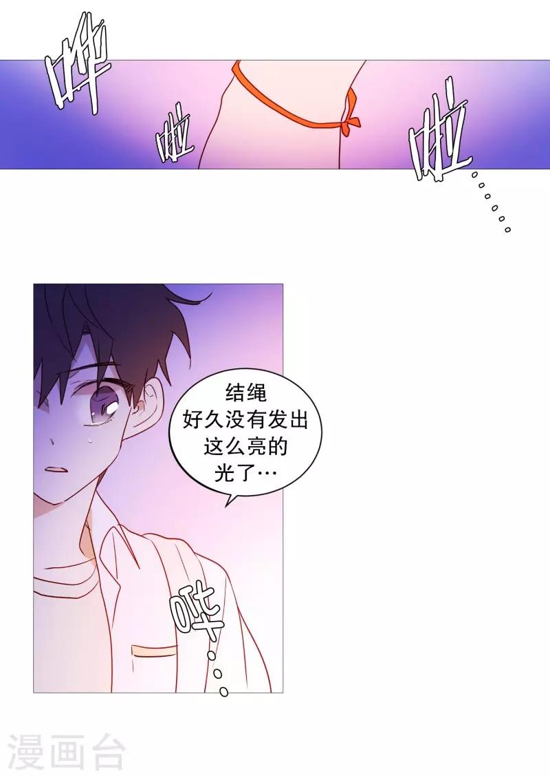 《动物灵魂管理局》第90话 猫兔大战 第4页