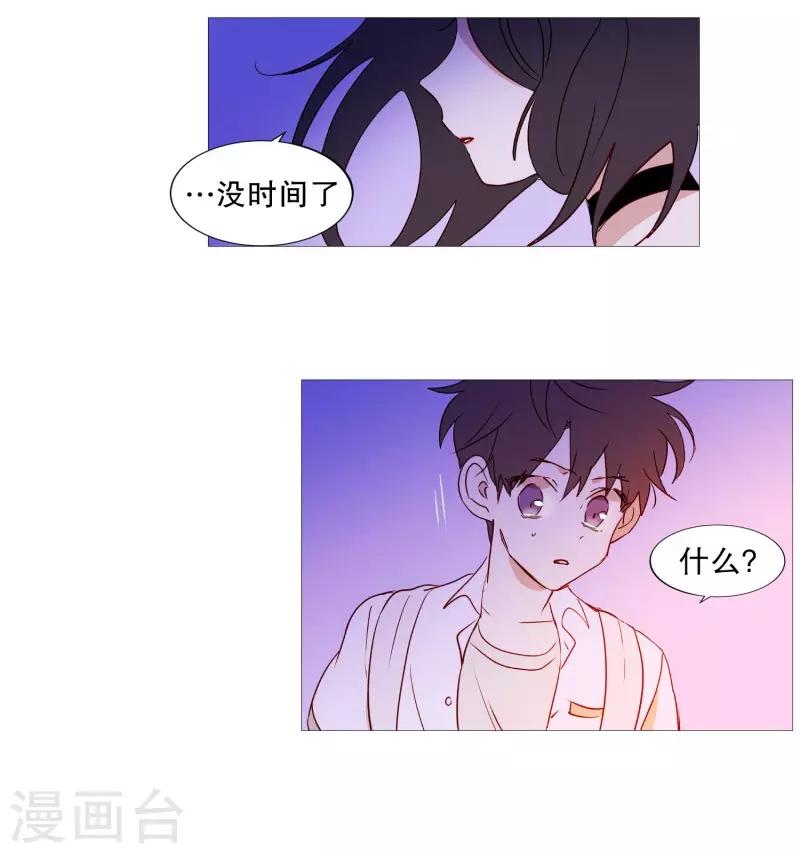 《动物灵魂管理局》第90话 猫兔大战 第5页
