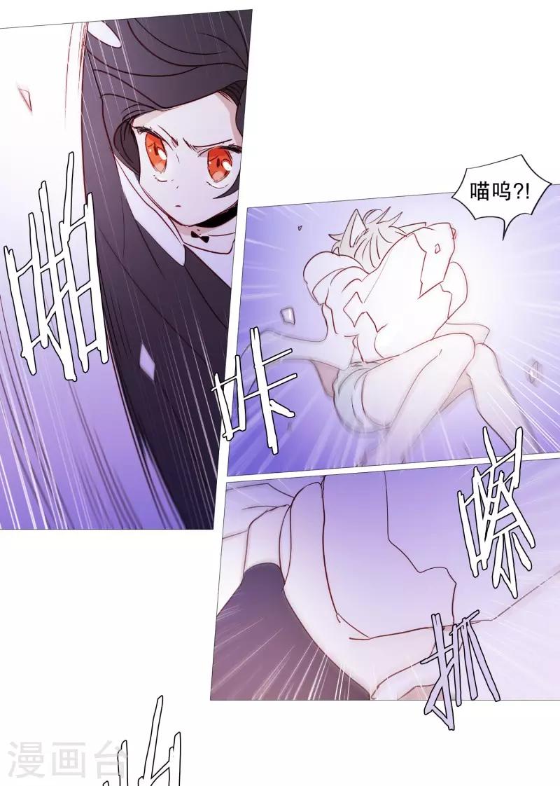 《动物灵魂管理局》第90话 猫兔大战 第9页