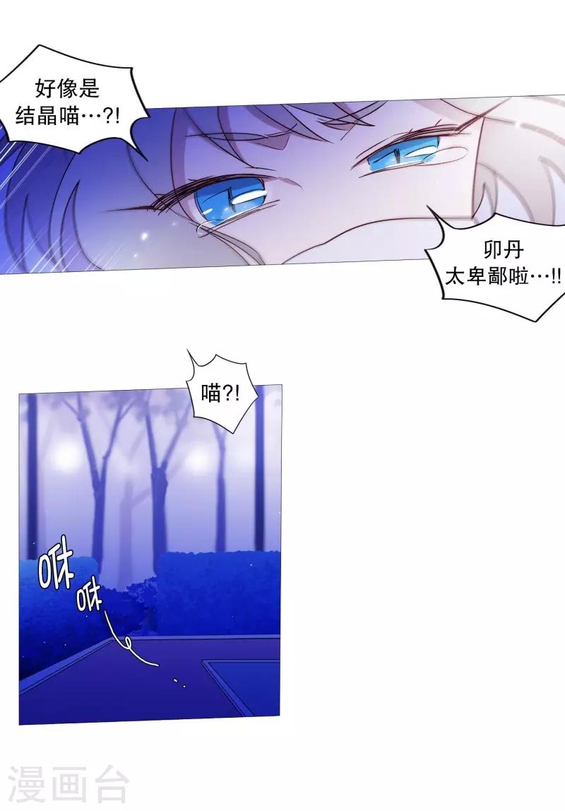 《动物灵魂管理局》第91话 逃跑 第13页