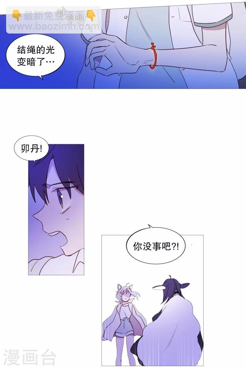 《动物灵魂管理局》第91话 逃跑 第6页