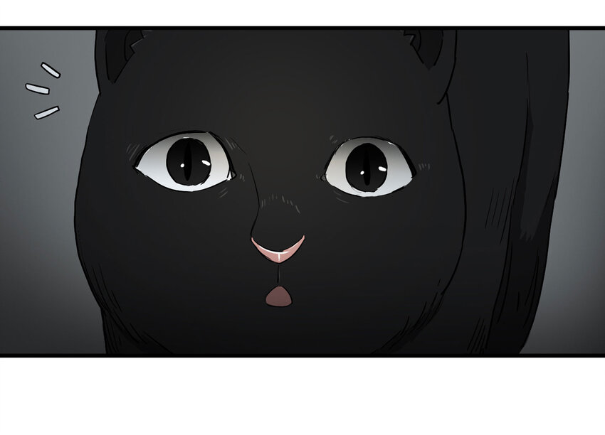 《大叔诡电台》004 会作揖的猫 第25页