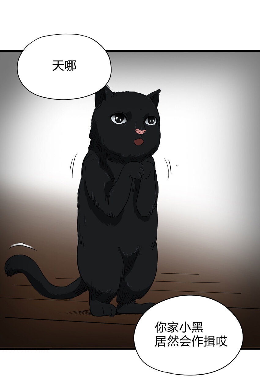 《大叔诡电台》004 会作揖的猫 第3页