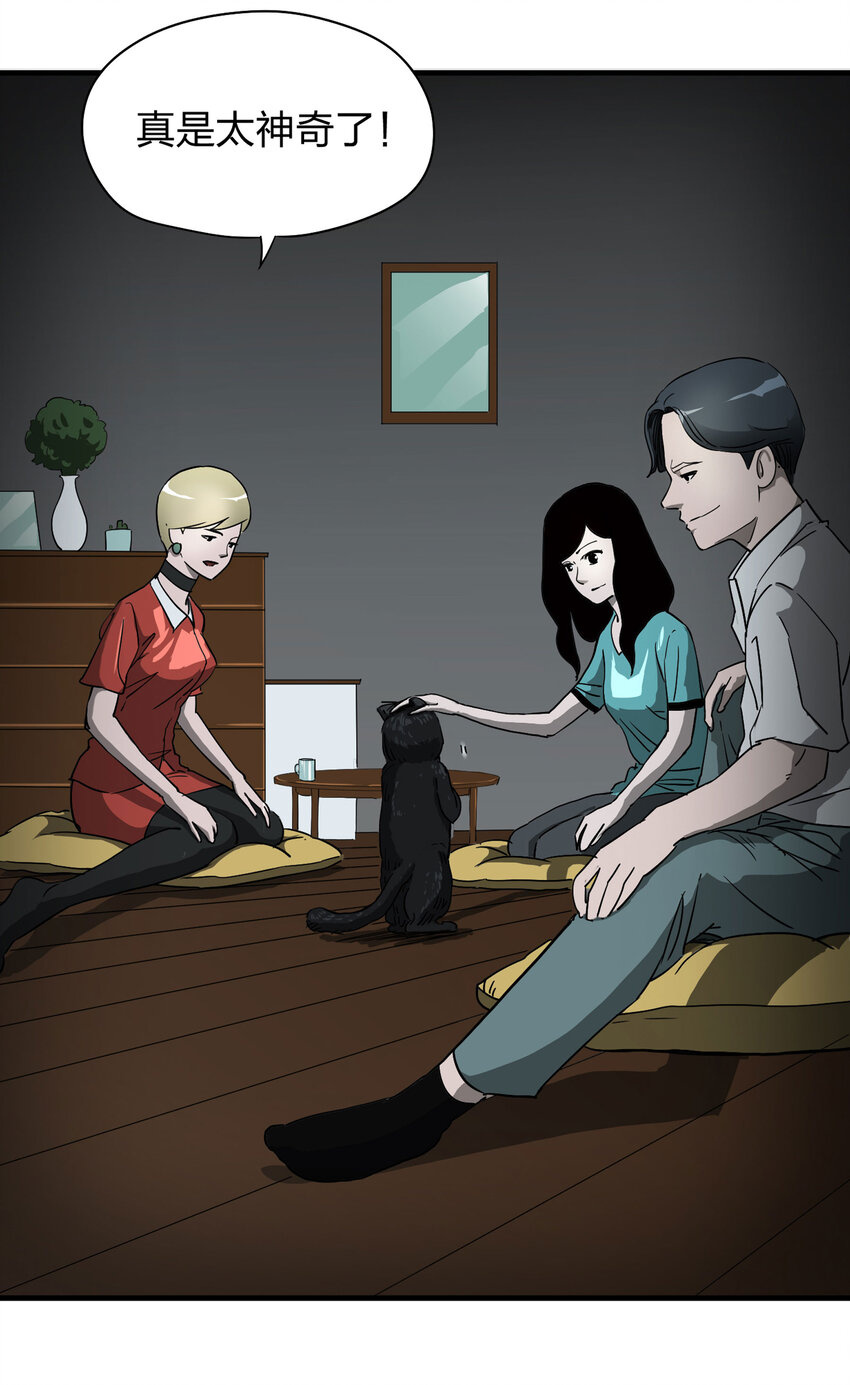 《大叔诡电台》004 会作揖的猫 第4页