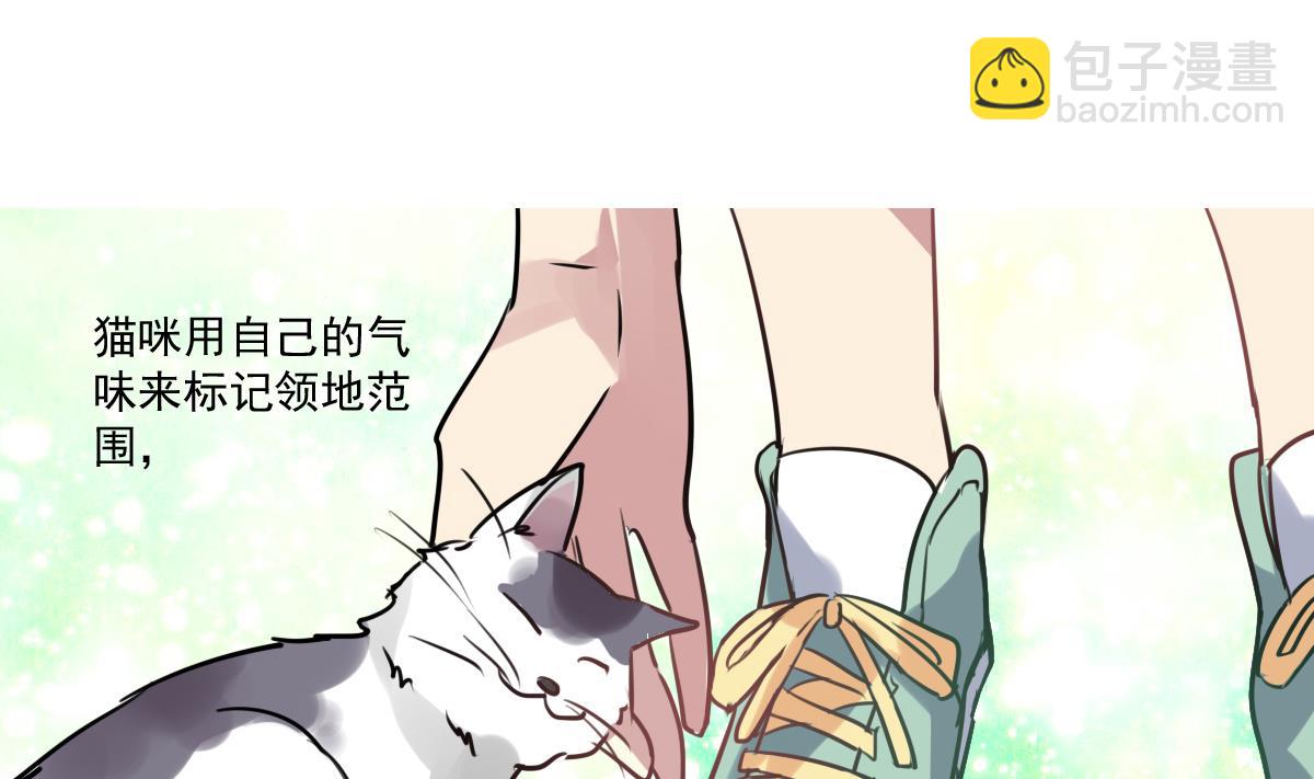 《站在星星的顶端》第53话 你的歌 第2页