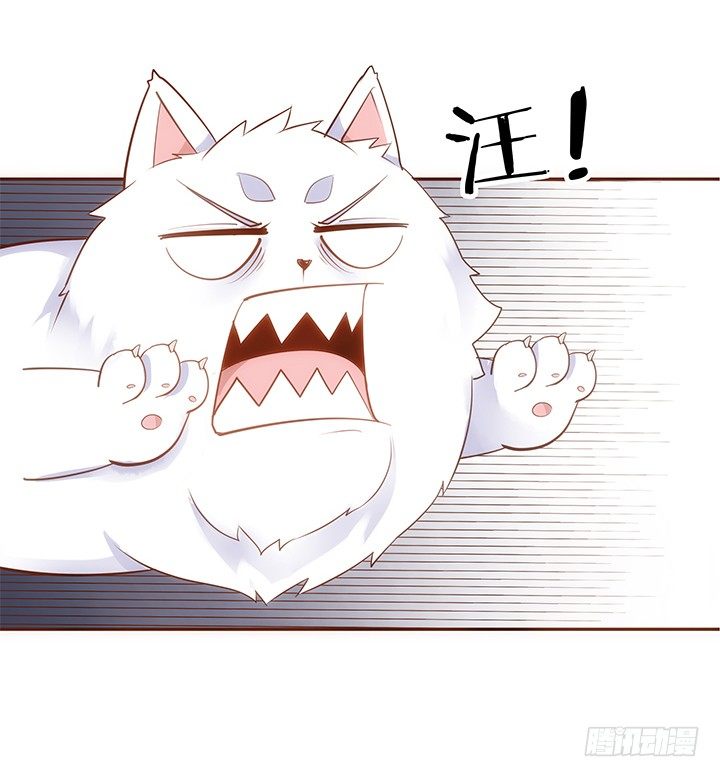 《黑白佩》7话 你家住了黑白无常么？ 第21页