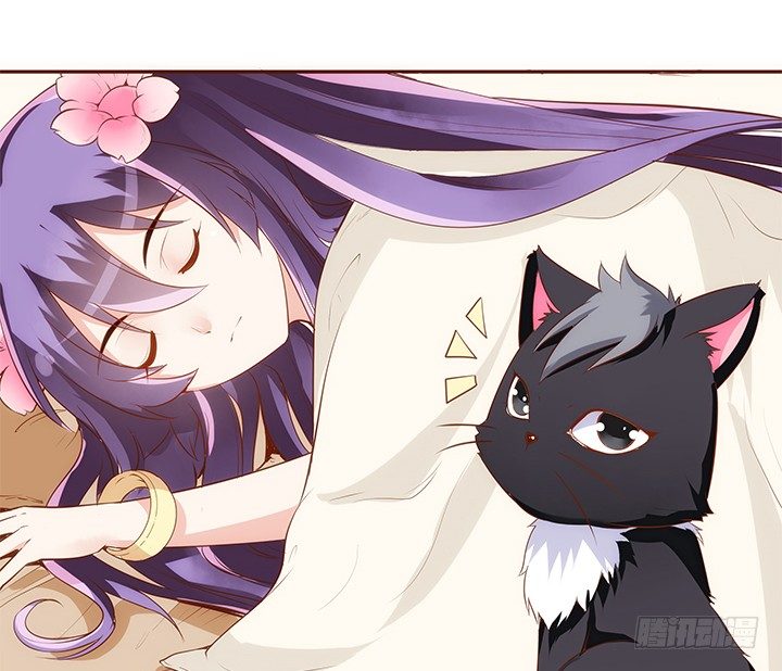 《黑白佩》14话 你家有只怪猫 第46页