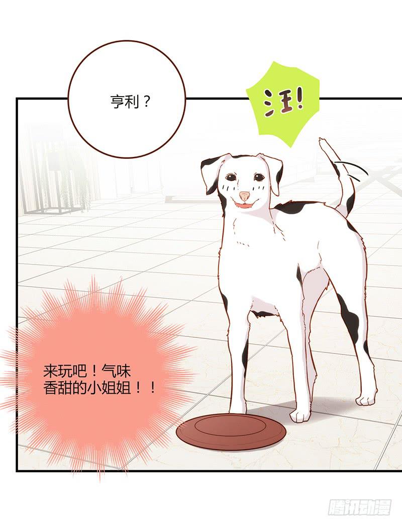 《最差劲的痴情》108话 （更新）梦境奇缘-8 第31页