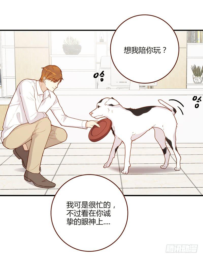 《最差劲的痴情》108话 （更新）梦境奇缘-8 第33页
