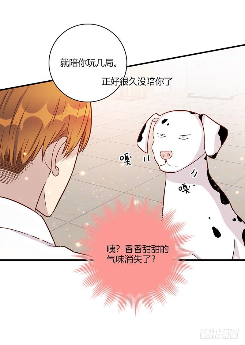 《最差劲的痴情》108话 （更新）梦境奇缘-8 第34页