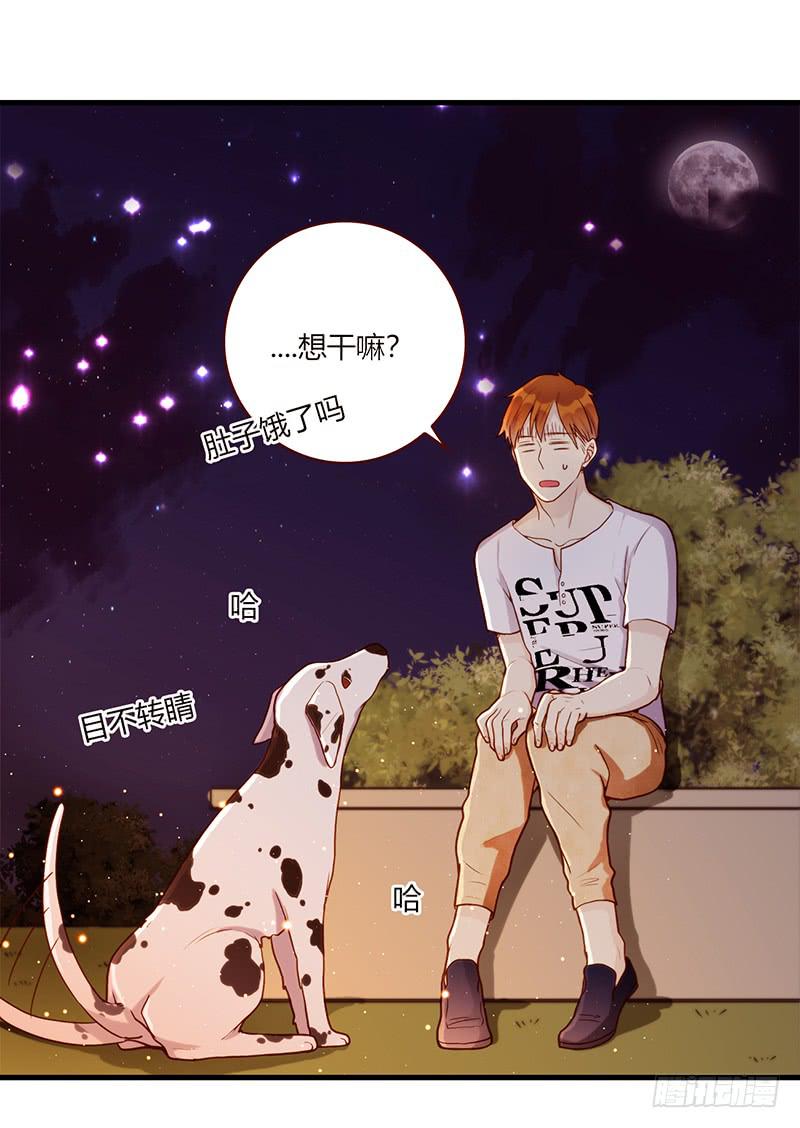 《最差劲的痴情》106话 （更新）梦境奇缘-6 第43页