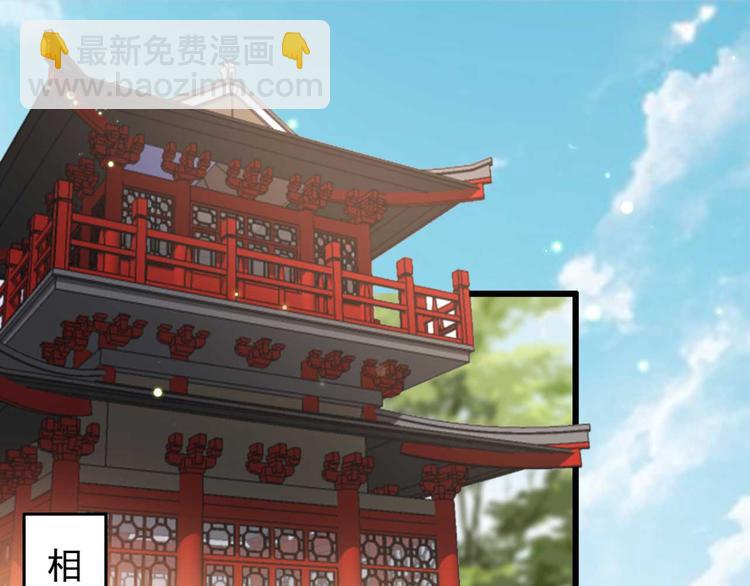 《特工王妃虐渣记》第1话 “废物”二小姐 第17页