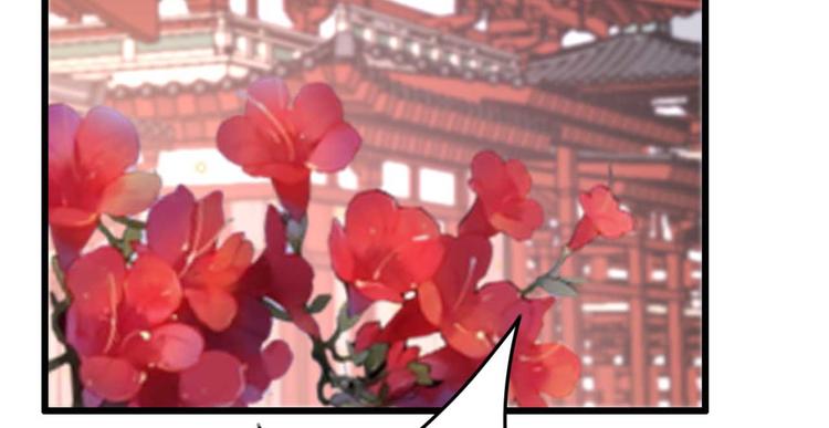 《特工王妃虐渣记》第3话 大婚前夜 第24页