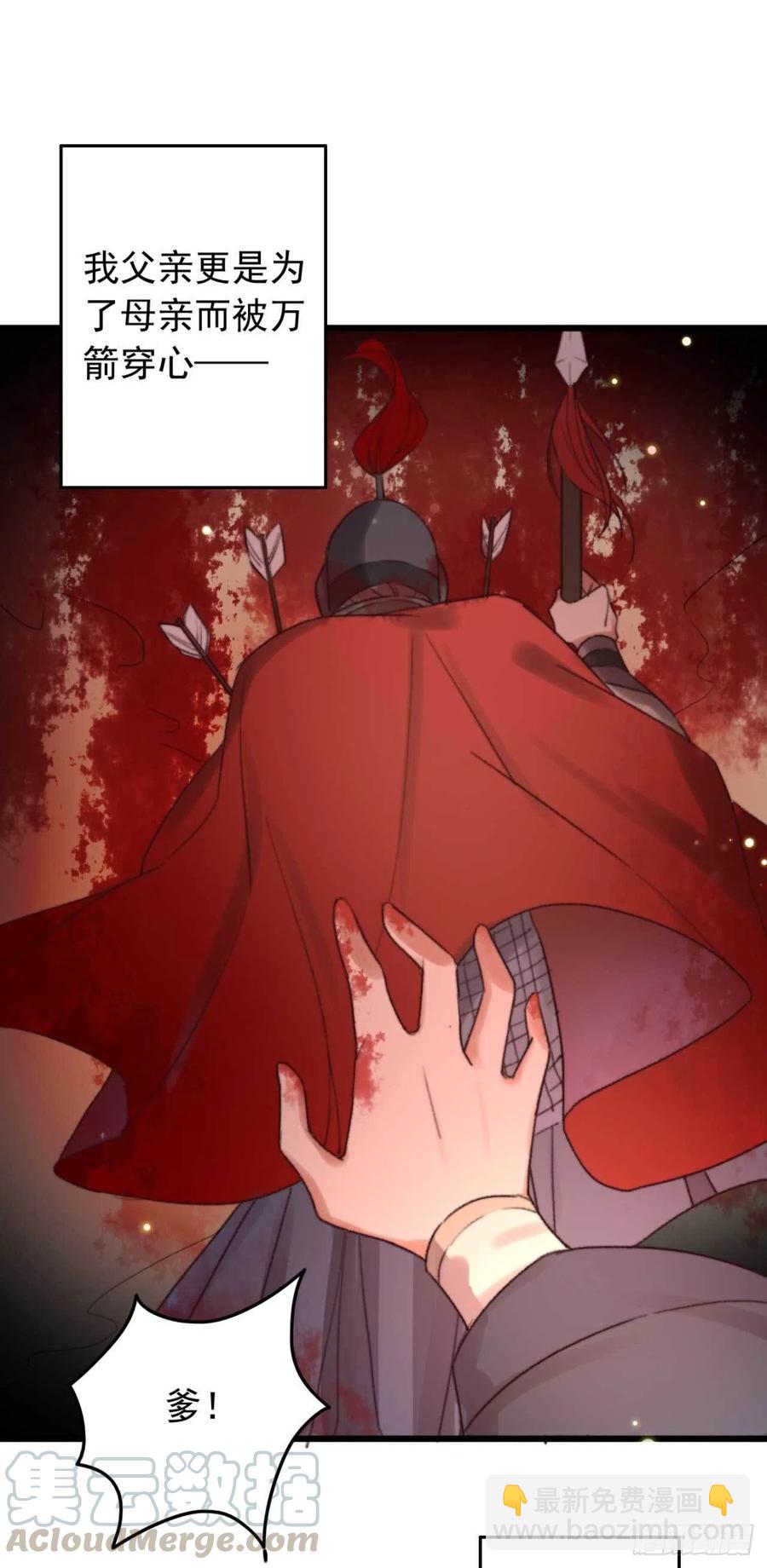 《特工王妃虐渣记》第46话 凌天的母亲 第10页