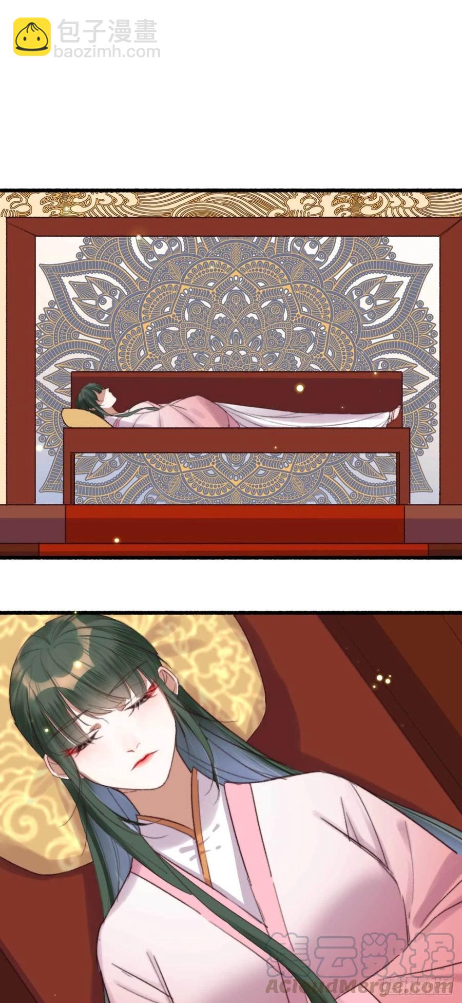 《特工王妃虐渣记》第46话 凌天的母亲 第16页