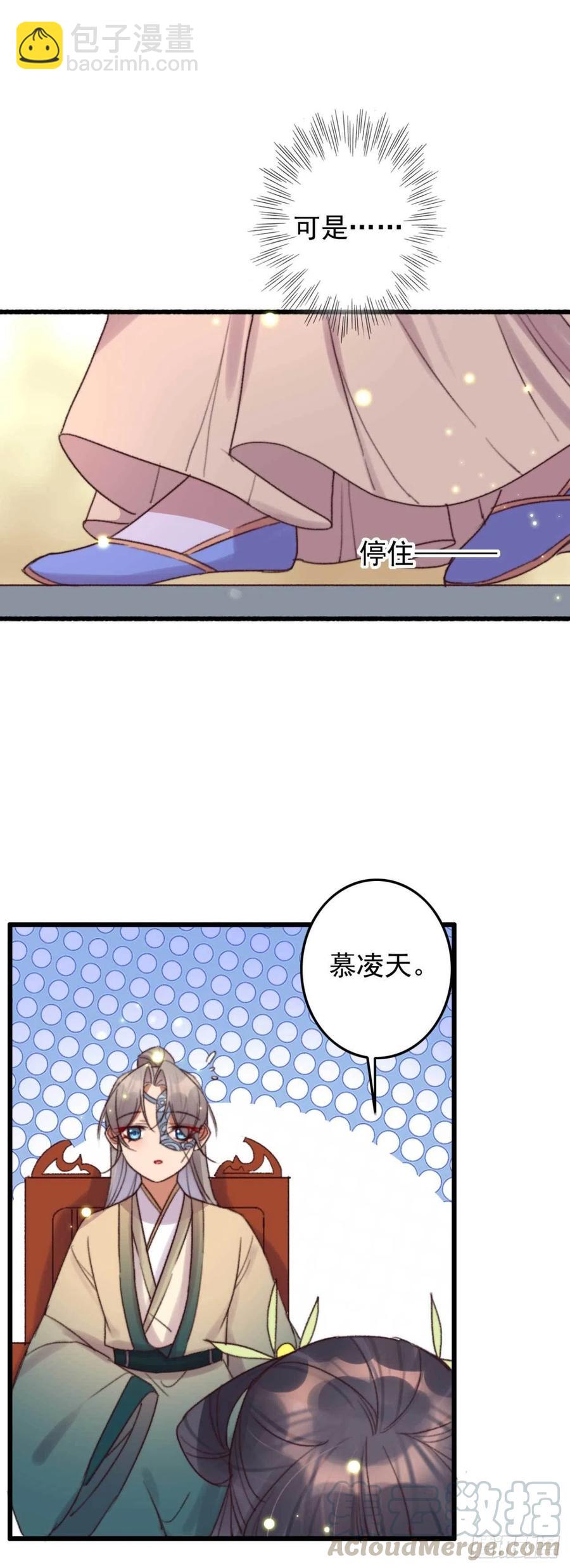 《特工王妃虐渣记》第46话 凌天的母亲 第19页