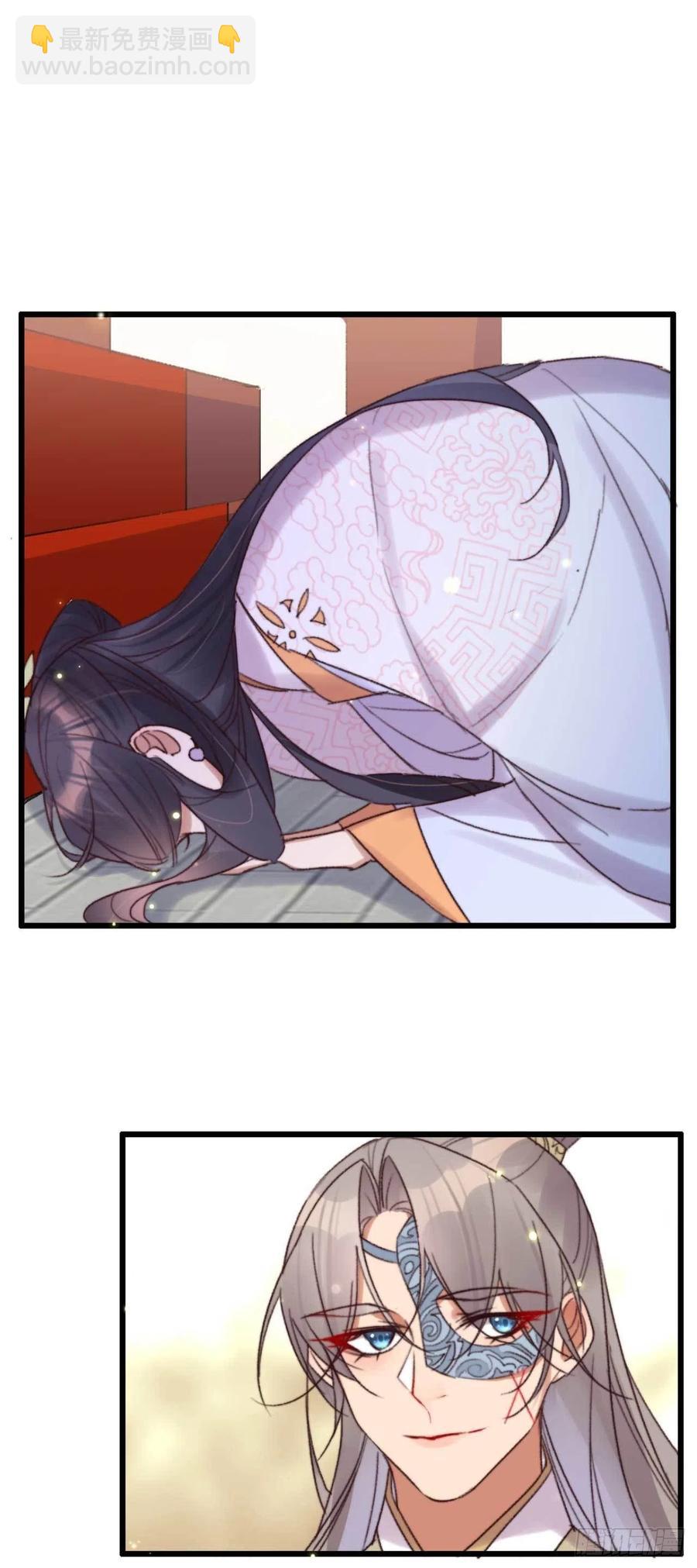 《特工王妃虐渣记》第46话 凌天的母亲 第29页