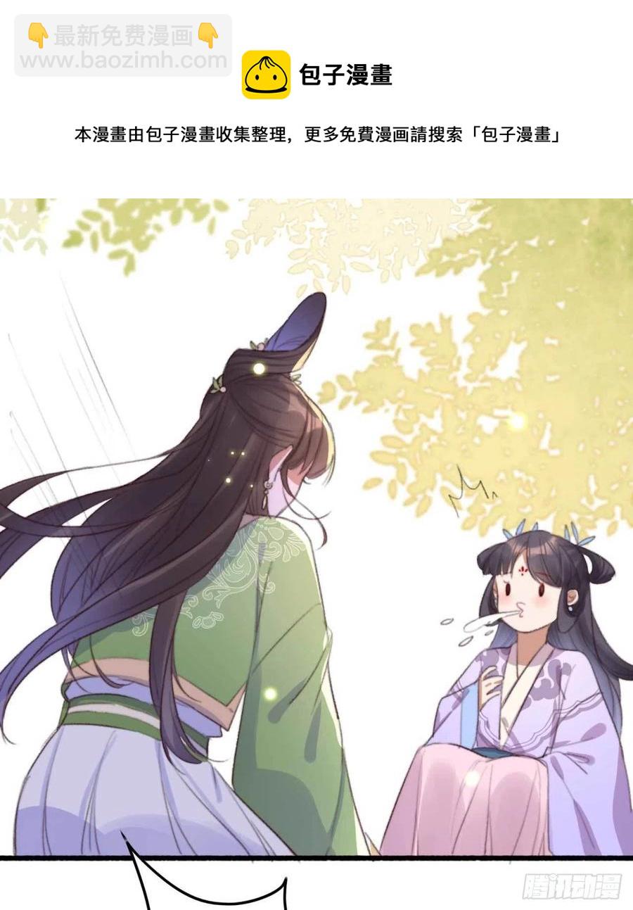 《特工王妃虐渣记》第67话 母亲的死亡真相 第12页