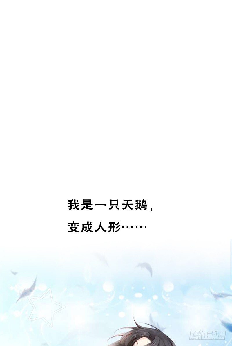 《飞越千山来爱你》预告飞越千山命中注定 第1页