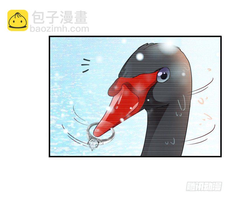 《飞越千山来爱你》为了一个戒指跨越半个世界... 第31页
