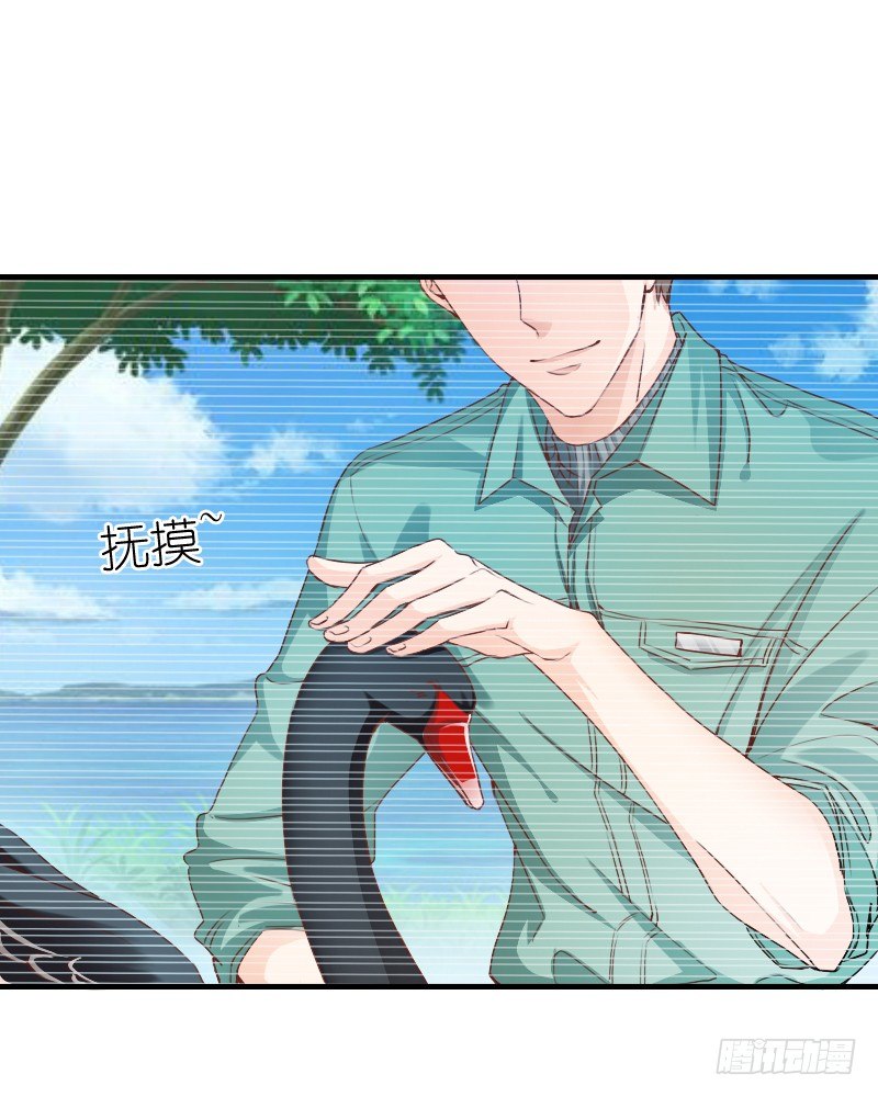 《飞越千山来爱你》我觉得把戒指还给那个男人 第35页