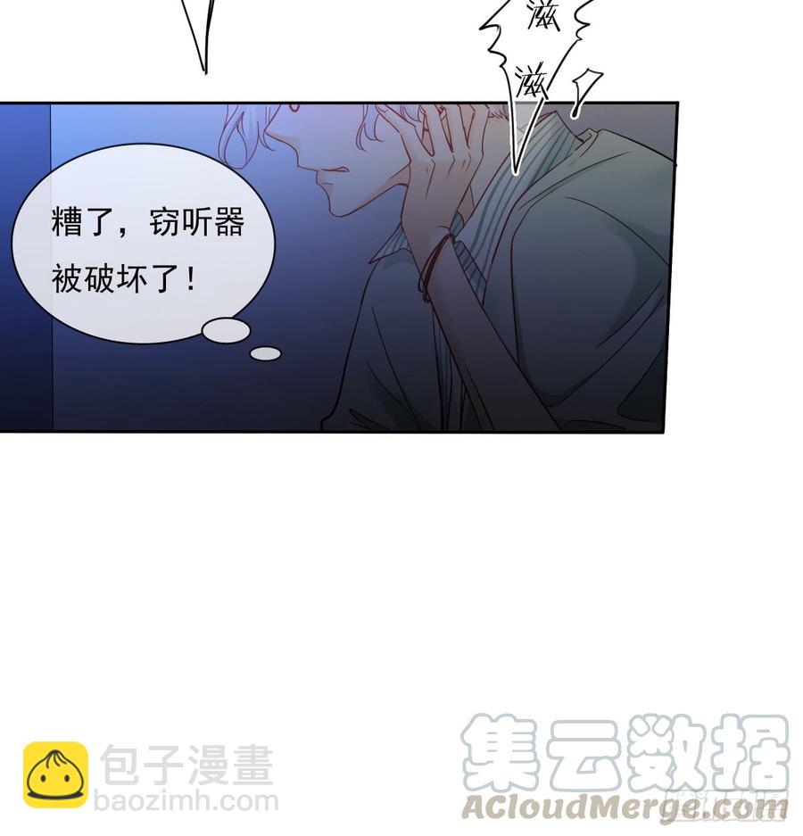 《飞越千山来爱你》谁是天鹅? 第31页