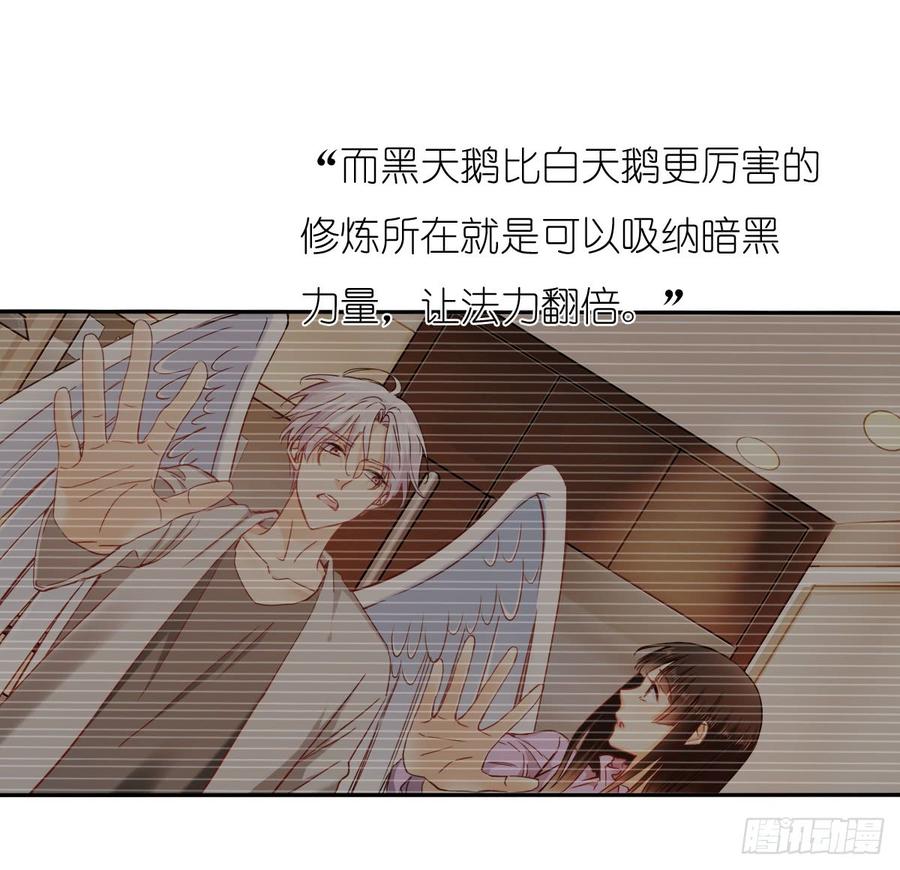 《飞越千山来爱你》要么成功要么坠入黑暗 第27页