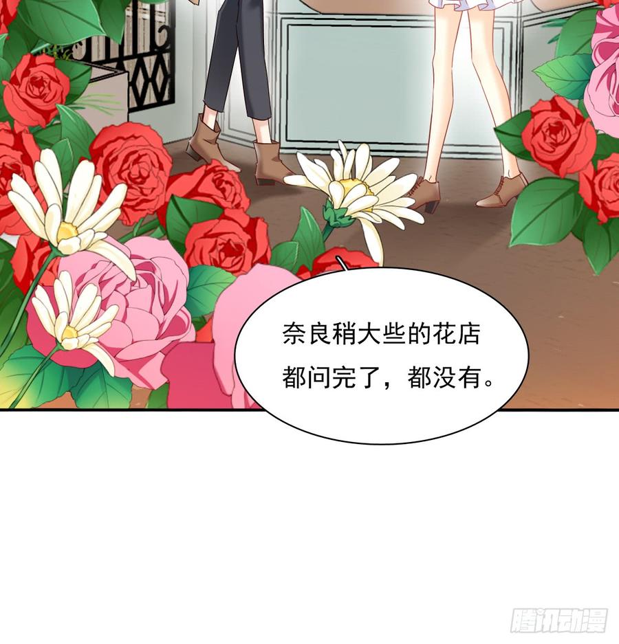《飞越千山来爱你》从没见过他 第8页