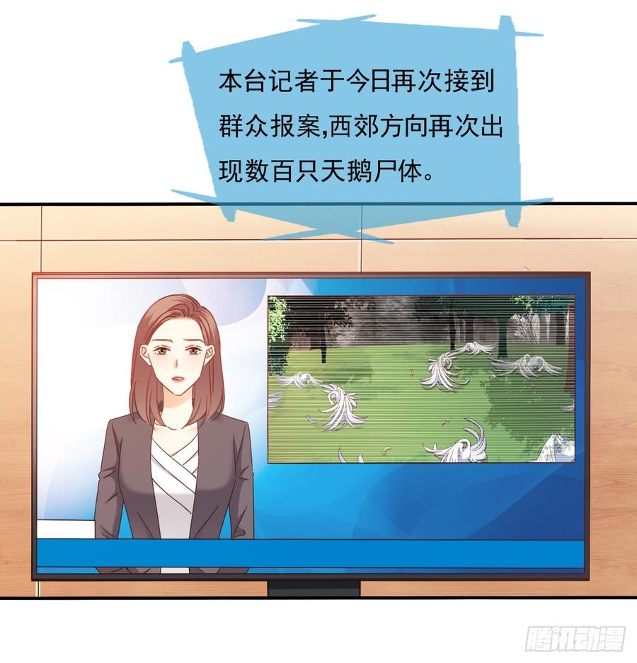 《飞越千山来爱你》消失的天鹅 第26页