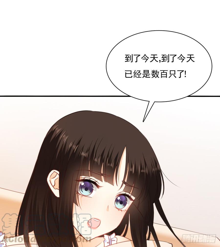《飞越千山来爱你》消失的天鹅 第31页