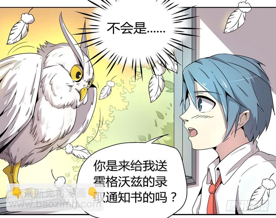 《YOYO的奇葩动物帝国》小时候谁没有点黑历史 第29页