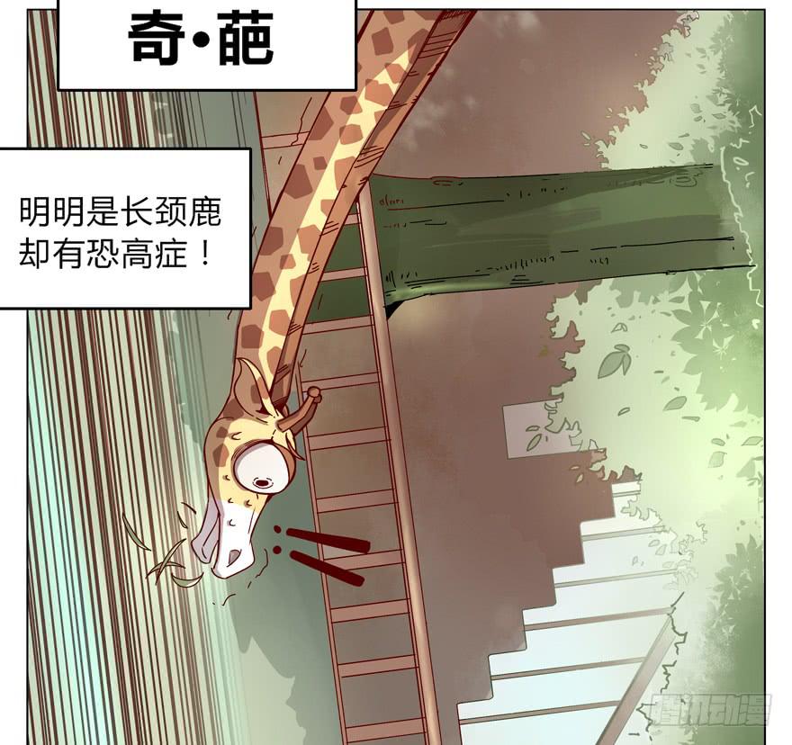 《YOYO的奇葩动物帝国》奇葩动物在这里 第29页