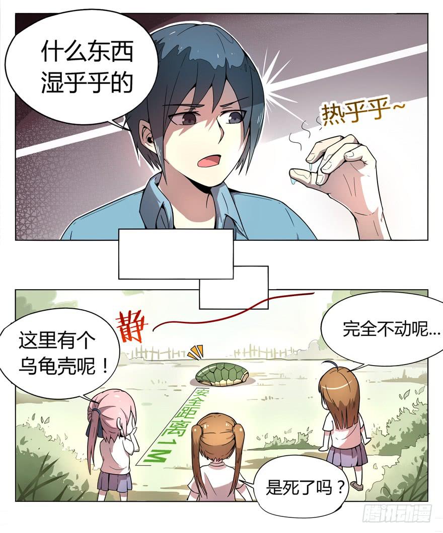 《YOYO的奇葩动物帝国》奇葩动物在这里 第39页