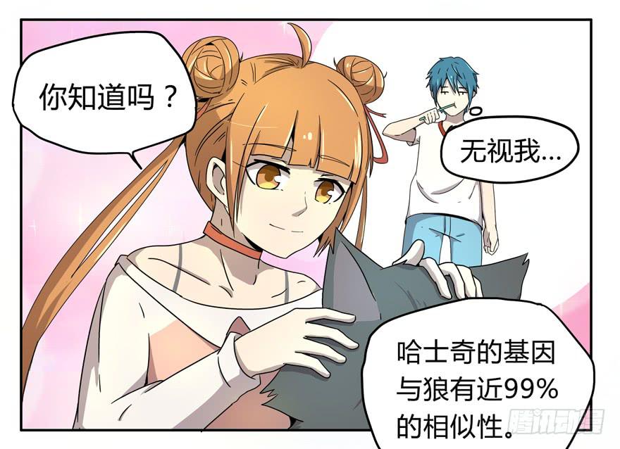 《YOYO的奇葩动物帝国》宠物是主人的克星 第17页