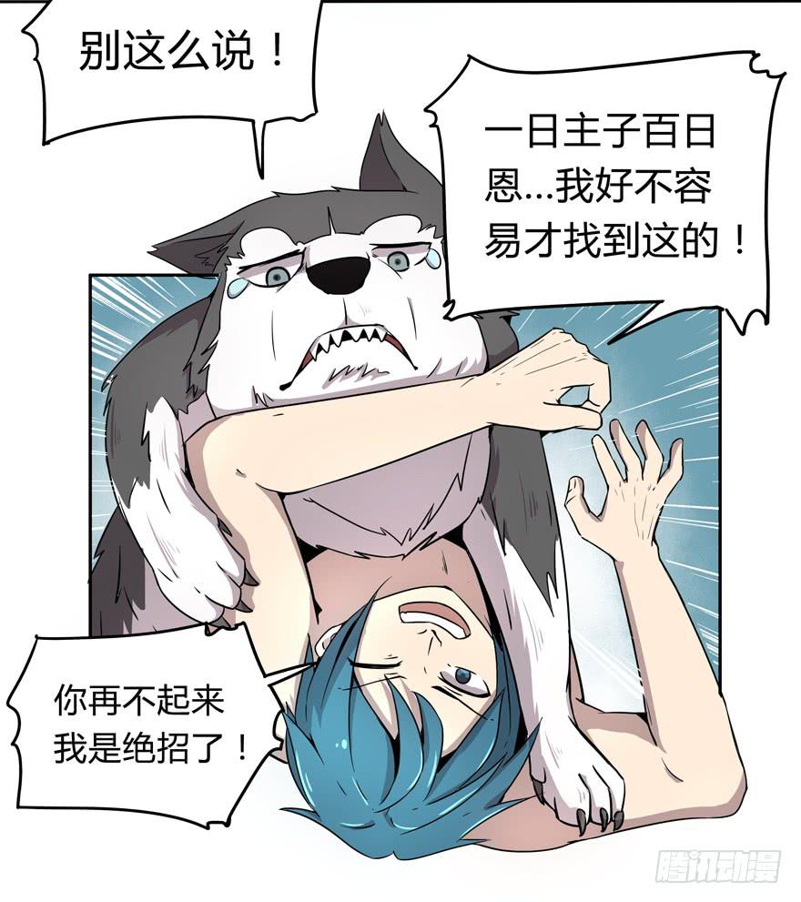 《YOYO的奇葩动物帝国》宠物是主人的克星 第8页