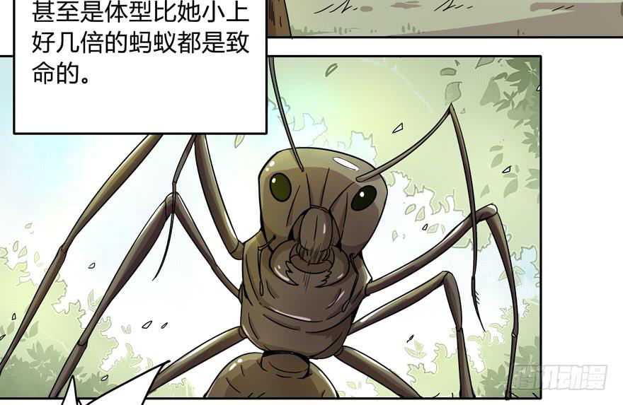 《YOYO的奇葩动物帝国》奔跑免不了跌倒 第4页