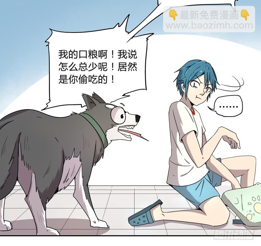《YOYO的奇葩动物帝国》人生就是不断地奔跑 第18页