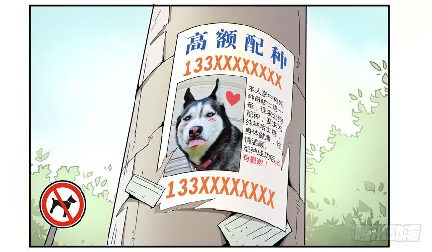 《YOYO的奇葩动物帝国》人生就是不断地奔跑 第26页