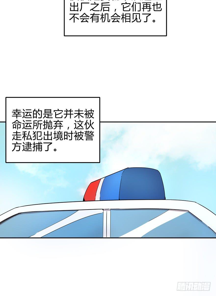 《YOYO的奇葩动物帝国》只有食物给你真实的回报 第12页