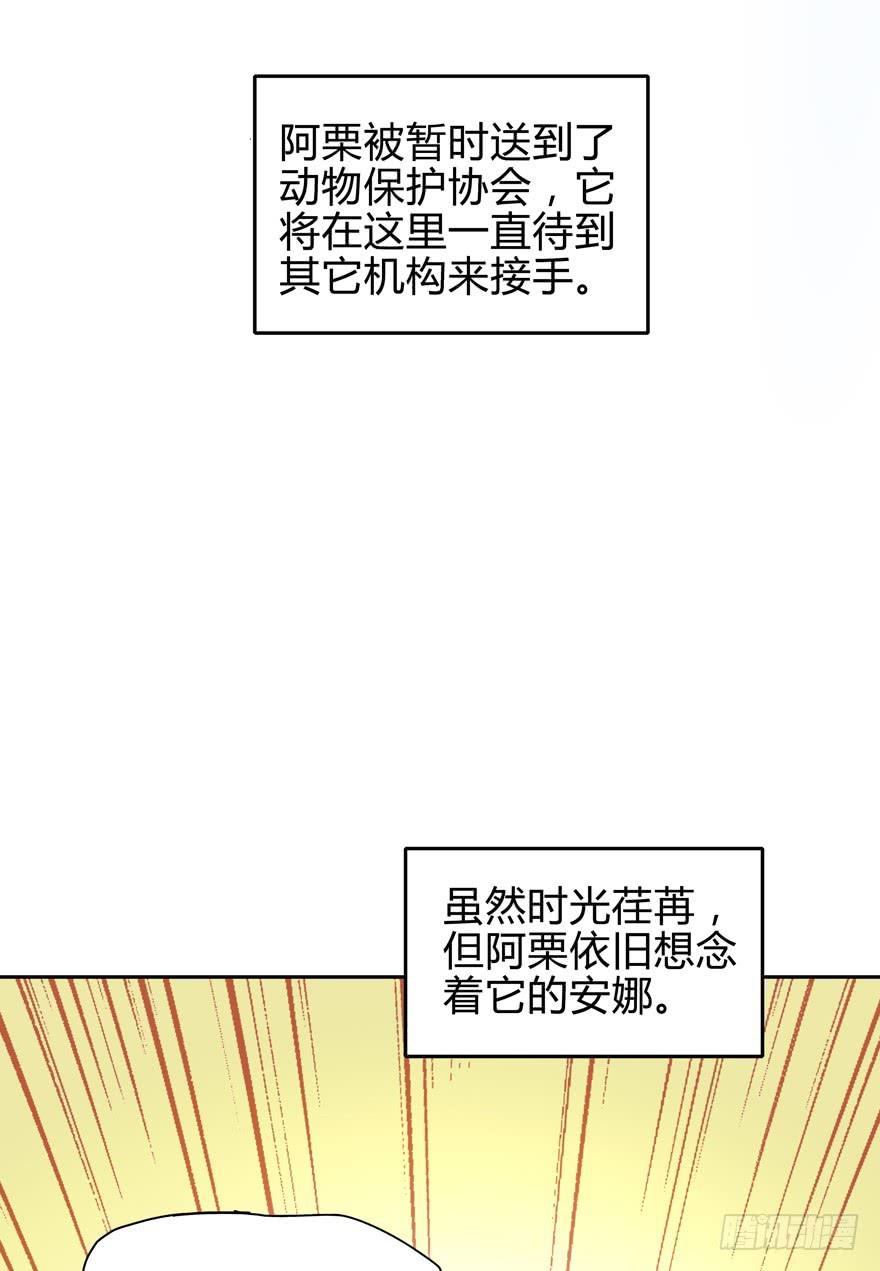 《YOYO的奇葩动物帝国》只有食物给你真实的回报 第13页