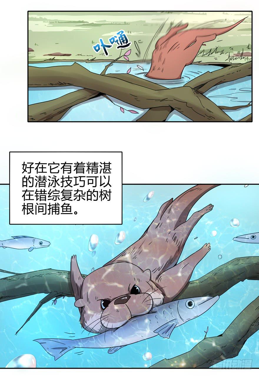 《YOYO的奇葩动物帝国》只有食物给你真实的回报 第7页